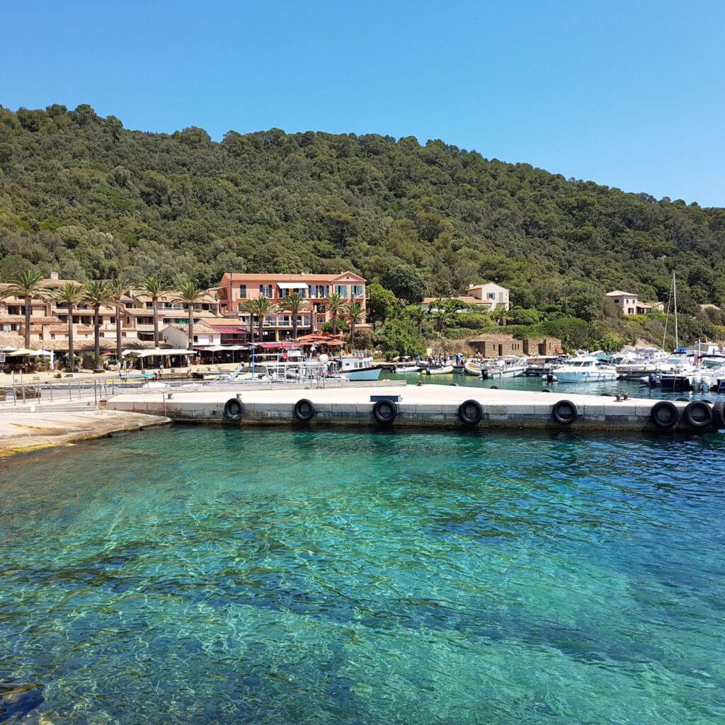 Blick vom Wasser auf den schwimmenden Steg von Port-Cros mit bunten Hafengebäuden, Palmen, Terrassen, Booten und einem bewaldeten Hügel im Hintergrund.