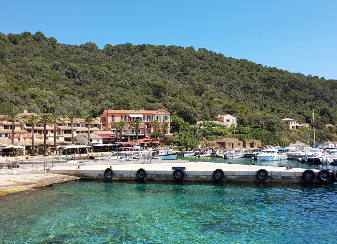 Uitzicht vanaf het water op de drijvende aanlegsteiger van Port-Cros, met kleurrijke havengebouwen, palmbomen, terrasjes, boten en een beboste heuvel op de achtergrond.