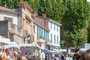 Le marché de Lorgues avec ses étals, sa foule animée et ses vieilles maisons provençales en arrière-plan.