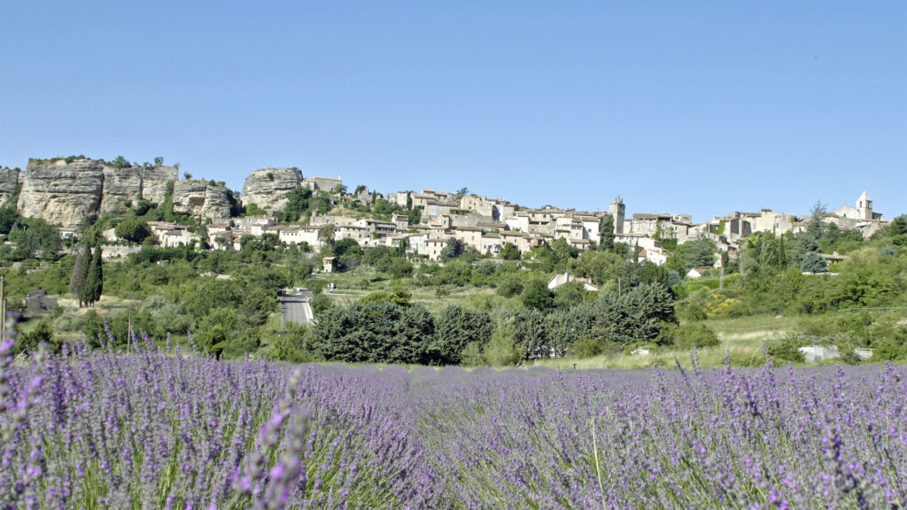 Lavender fields with the hilltop village of Saignon in the Luberon, Provence