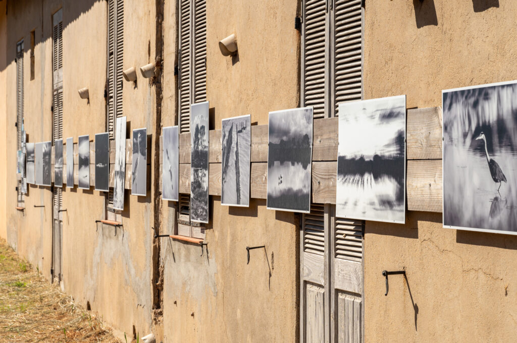 Oud zandstenen gebouw in Hyères met verweerde luiken en zwart-wit foto’s over het natuurgebied