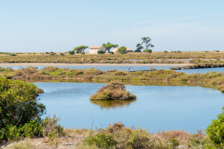 Water met rietvelden in het natuurgebied bij Hyères, met op de achtergrond een witte boerderij en bomen