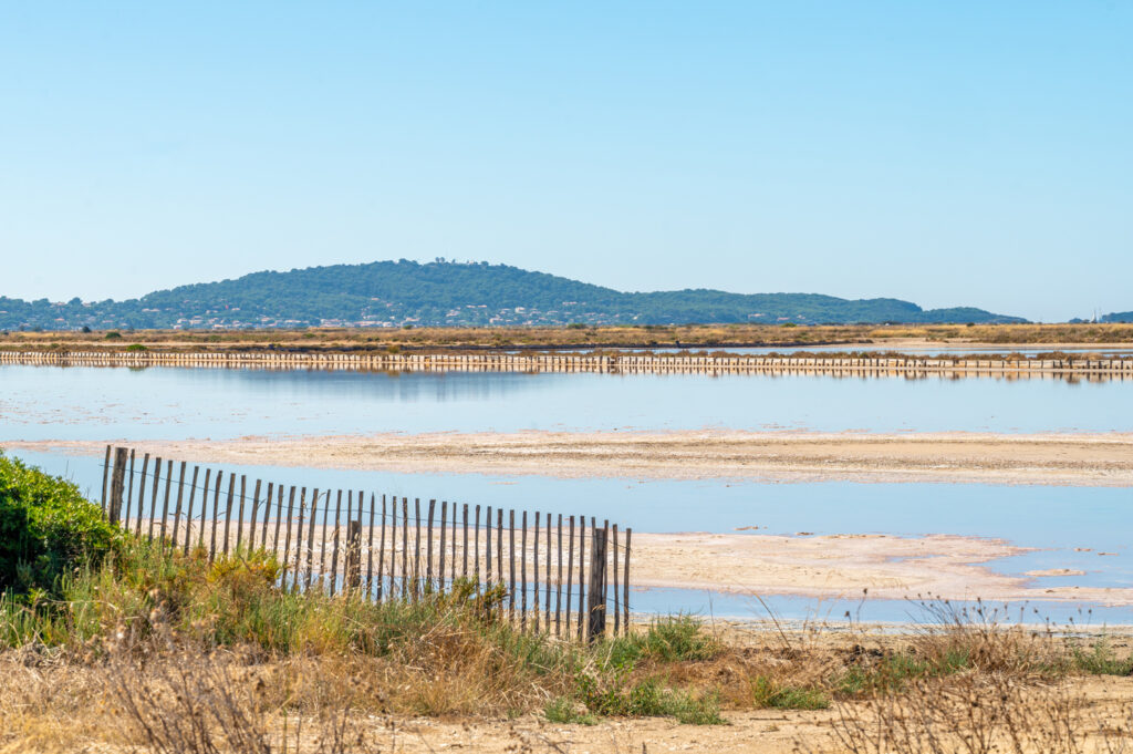 Zoutvlaktes bij Hyères met leefgebied van flamingo’s, helder water, houten hekwerk en heuvels op de achtergrond.