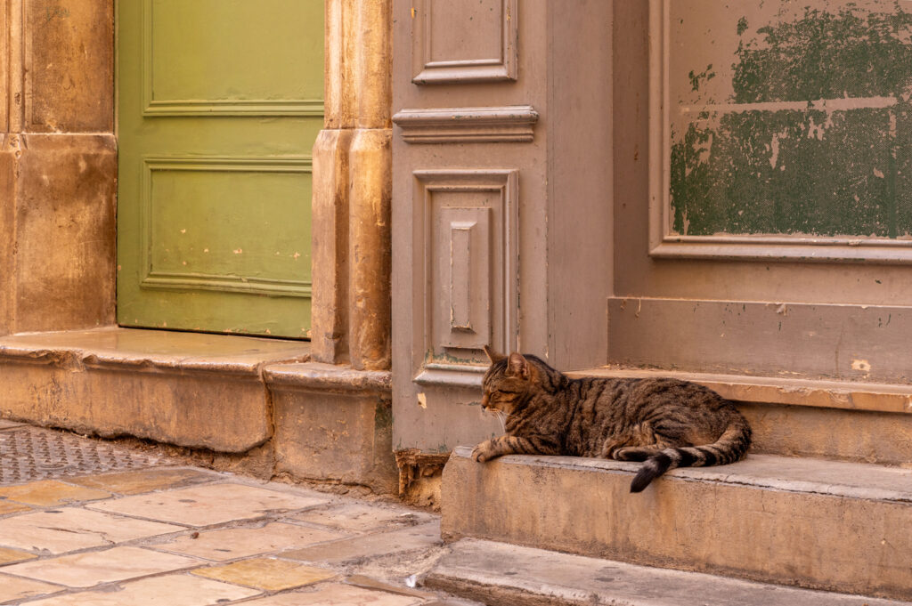 Paneeldeuren en stoepje met een liggende kat in een sfeervol straatje in Hyères