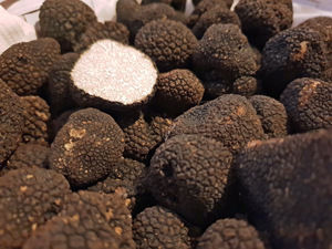 Close-up of fresh black truffles at Restaurant Bruno in Lorgues, Provence – one sliced open to reveal the light, marbled interior contrasting with the dark, textured surface.