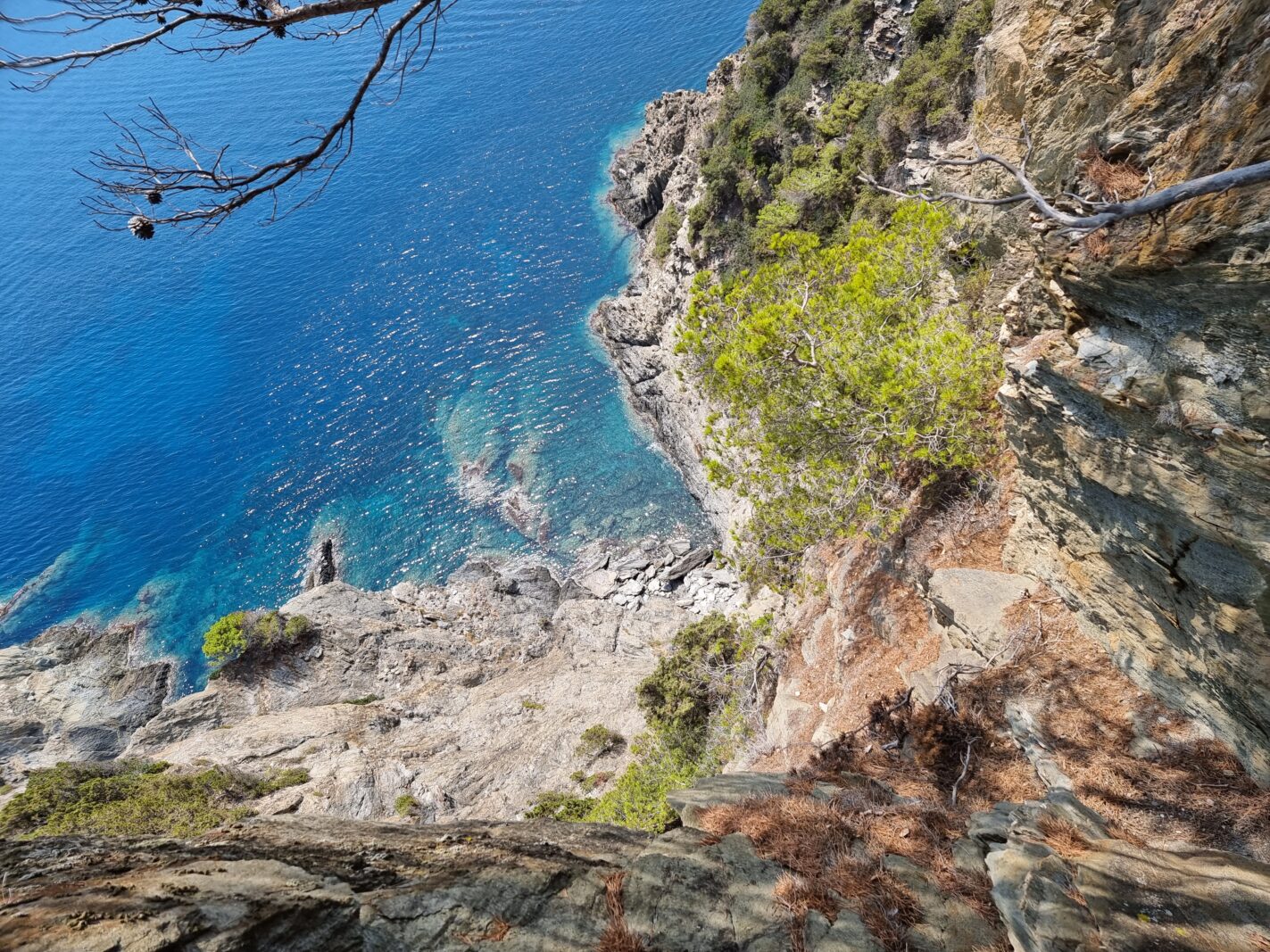 Uitzicht vanaf een hoog gelegen punt op Port-Cros, met rotsen, boompjes tussen de rotsen en de felblauwe zee diep beneden.