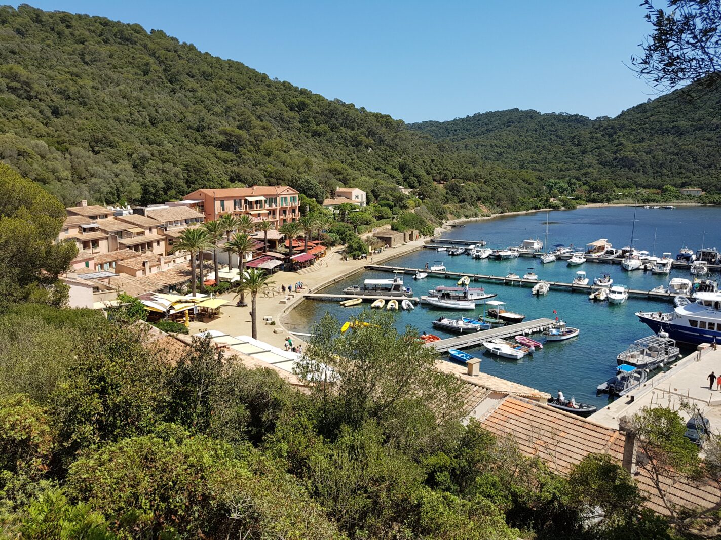 Uitzicht vanaf een hoger gelegen punt over de haven van Port-Cros met zeilboten in de baai en de boogvormige kustlijn met havengebouwen.